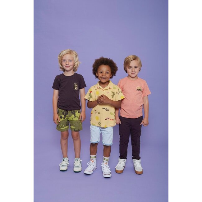 Sturdy - Broek Donkerbruin - Desert Fiesta