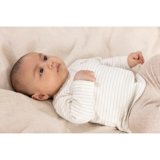 Feetje - Longsleeve Rib met Streep Mint - Elephant