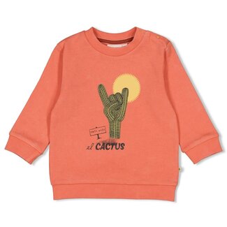 Feetje Feetje - Sweater Koraal - Desert Fiesta