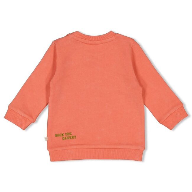 Feetje - Sweater Koraal - Desert Fiesta