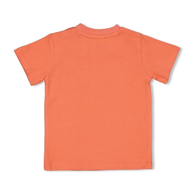 Feetje - T-shirt Koraal - Desert Fiesta