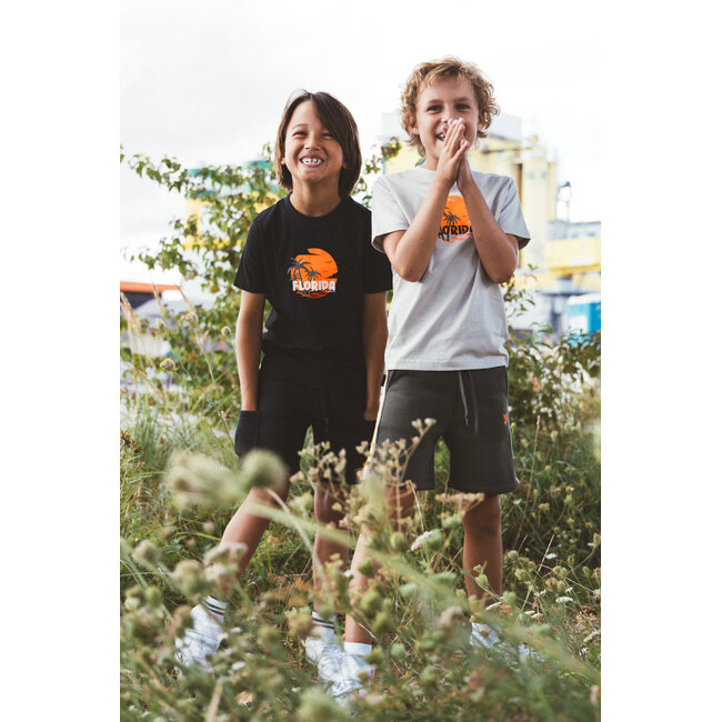 Tygo & Vito - T-shirt Jaimy - Pebble Stone