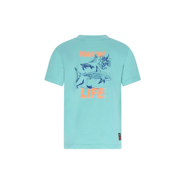 Tygo & Vito - T-shirt Dylan - Wasabi