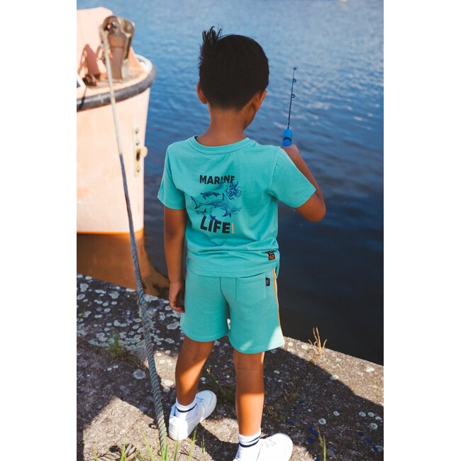 Tygo & Vito - T-shirt Dylan - Wasabi