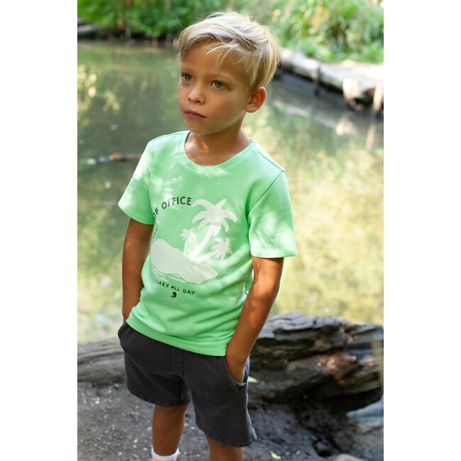 Sturdy - T-shirt Groen - Lagoon Legends