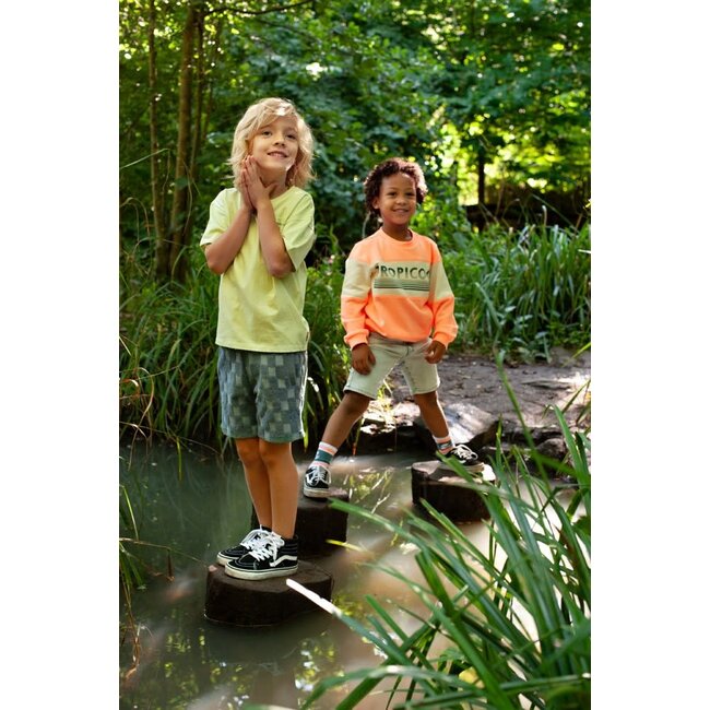 Sturdy - T-shirt Oversized Lime - Lagoon Legends