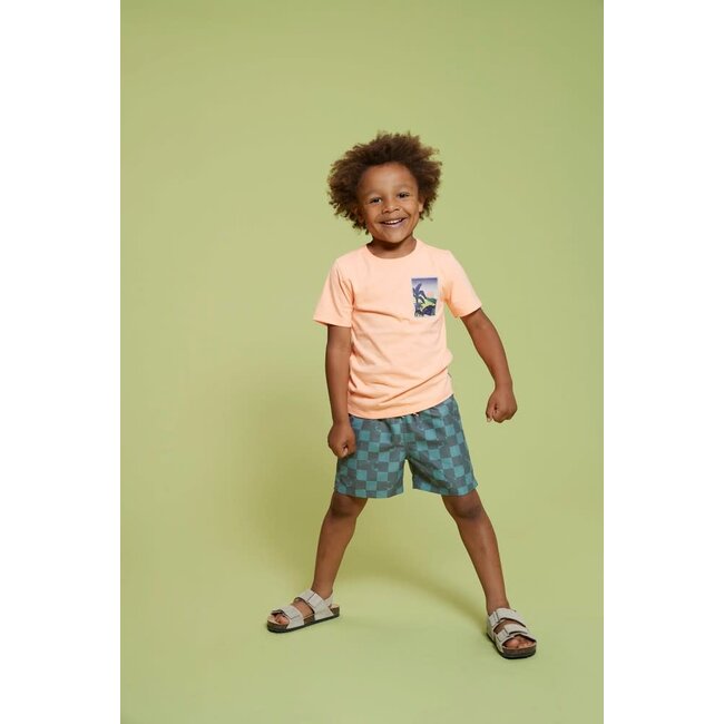 Sturdy - Zwemshort Ruit Petrol - Lagoon Legends