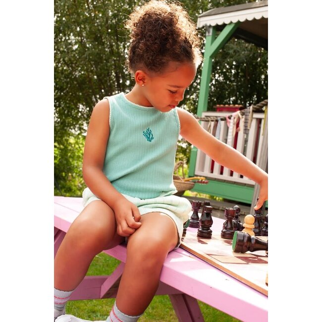 Jubel - Short Mousseline Mint - Lazy Lagoon