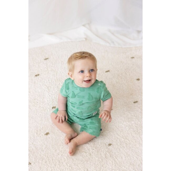 Feetje - T-shirt AO Badstof Groen - Seaside Happiness