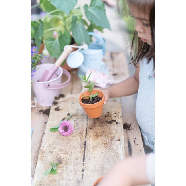 Little Dutch - Plantenpotje Aardbei