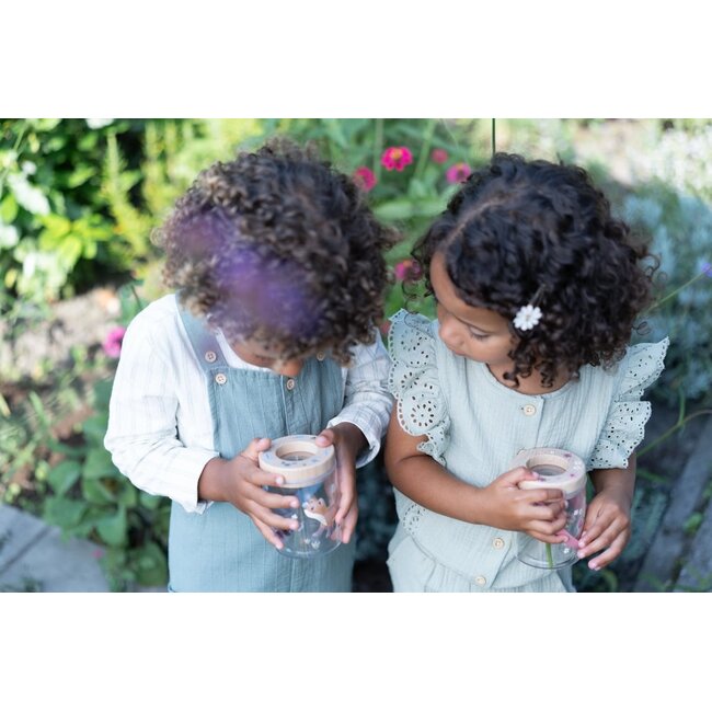 Little Dutch - Insectenpotje - Fairy Garden