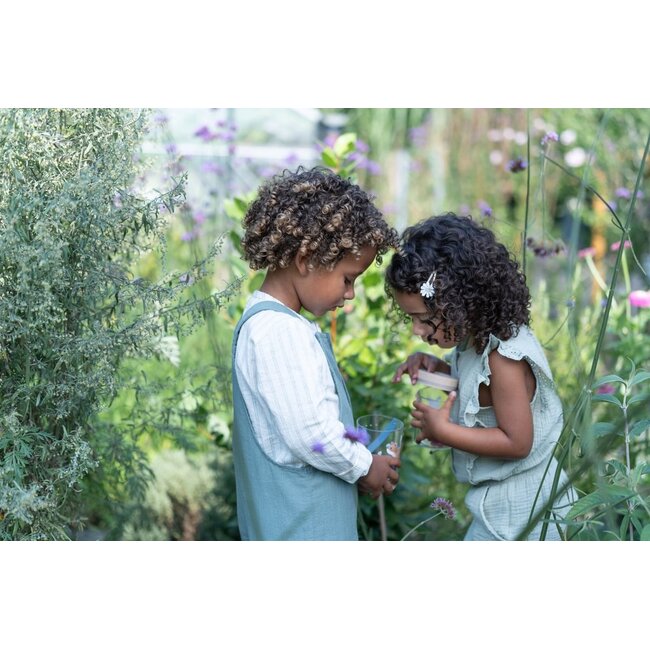 Little Dutch - Insectenpotje - Fairy Garden