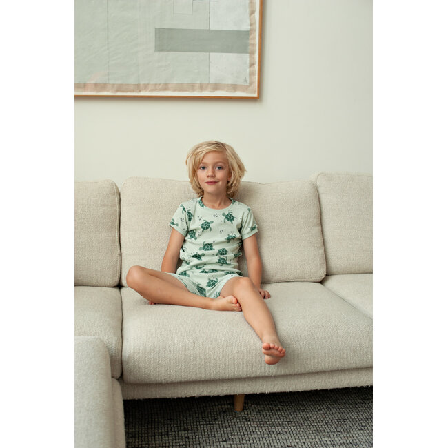 Feetje - Shortama Zomer Pyjama Timmy Turtle - Mint - Premium Summerwear