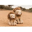 Little Dutch - Knuffel Leeuw - Safari Friends