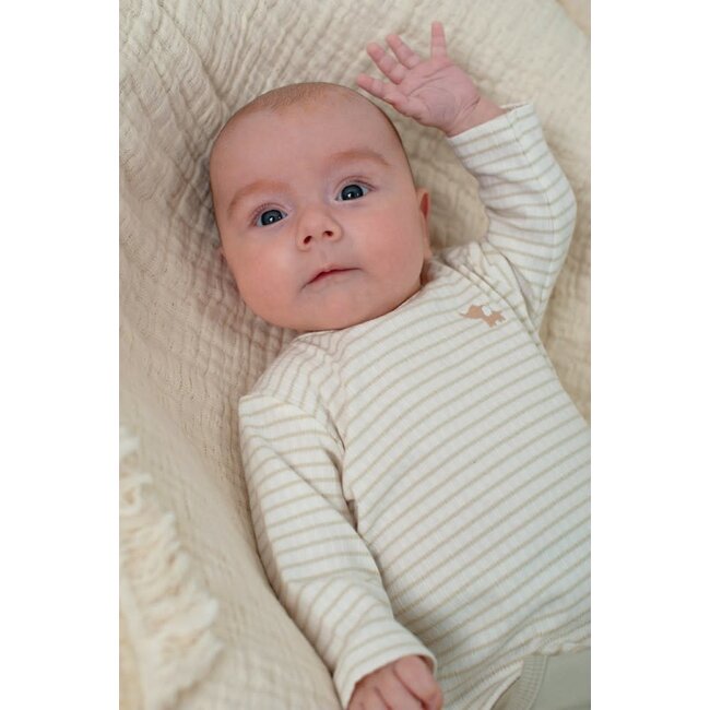 Feetje - Longsleeve Rib met Streep Mint - Elephant