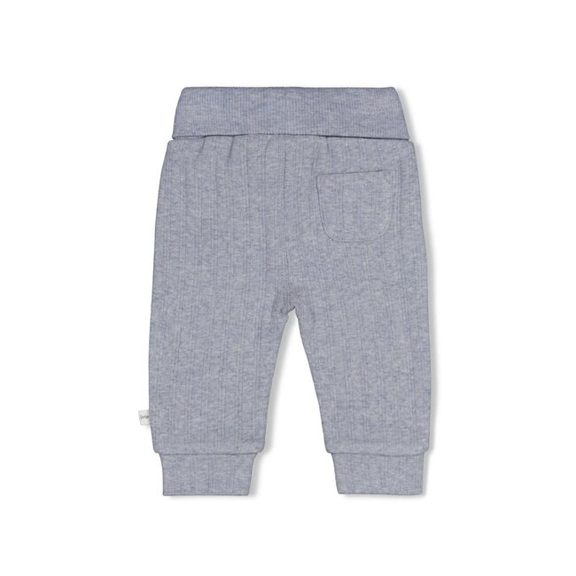 Feetje - Broek Rib Blauw Melange - Breakfast Buddy