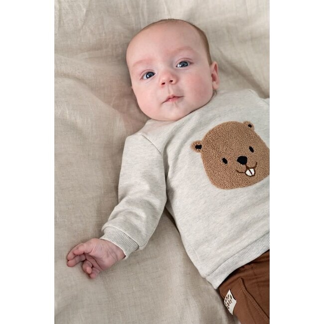 Feetje - Sweater Grijs Melange - Tiny Timber Tales