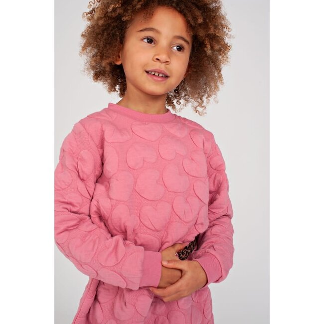 Jubel - Jurk Roze - City Chic