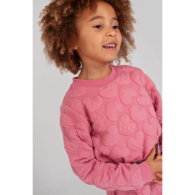 Jubel - Jurk Roze - City Chic