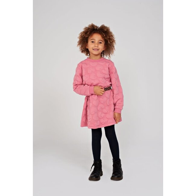 Jubel - Jurk Roze - City Chic