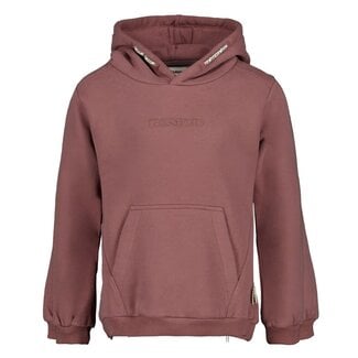 Sturdy Sturdy - Hoody Mauve - Rock the Earth