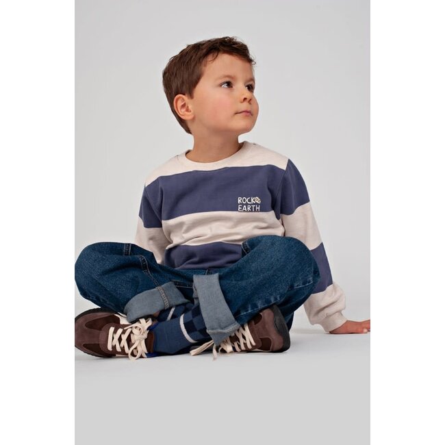 Sturdy - Sweater Streep Blauw - Rock the Earth