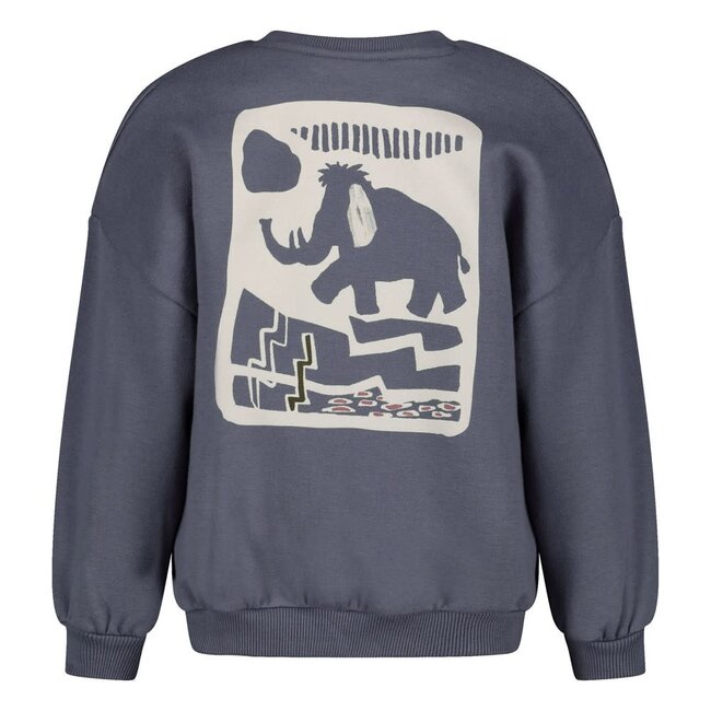 Sturdy - Sweater met Backprint Oversized Blauw - Rock the Earth