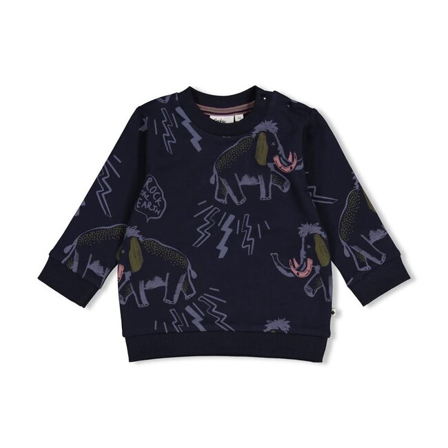 Feetje - Sweater AOP Donkerblauw - Rock the Earth