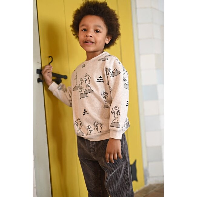Sturdy - Sweater AOP Relaxed Fit Offwhite Melange - Mountain Top