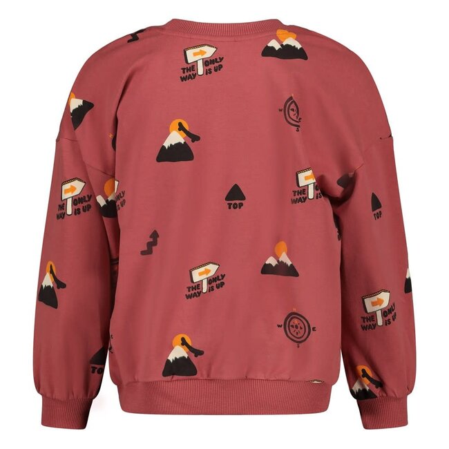Sturdy - Sweater AOP Oversized Rood - Mountain Top