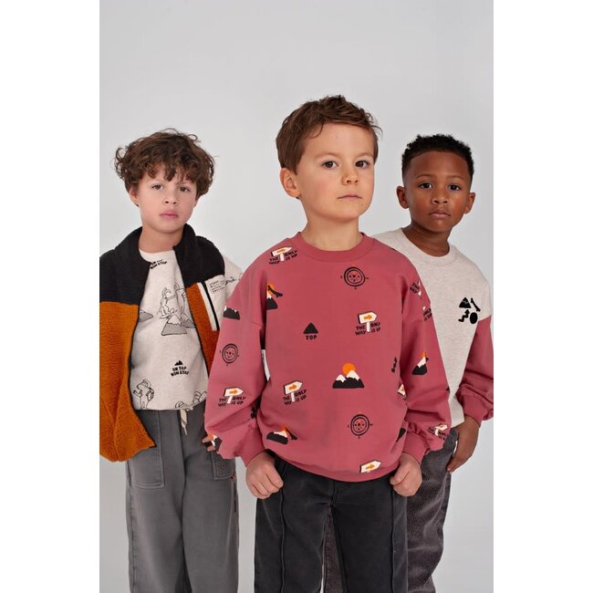 Sturdy - Sweater AOP Oversized Rood - Mountain Top