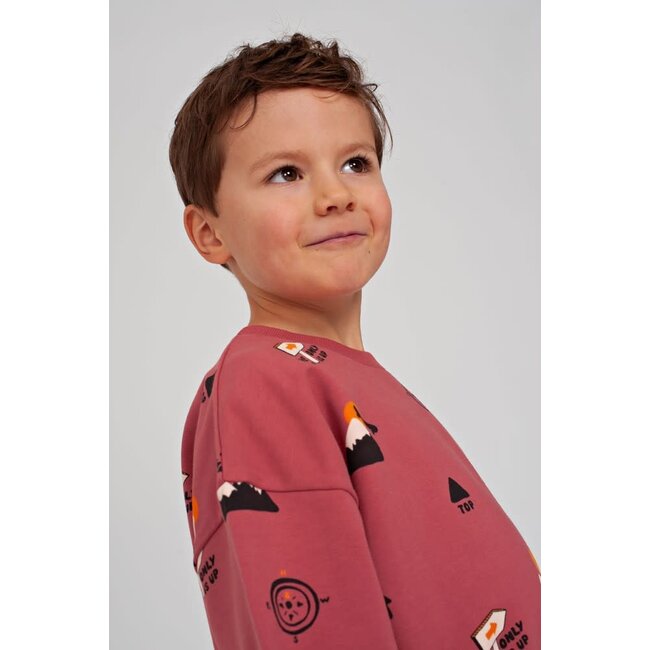 Sturdy - Sweater AOP Oversized Rood - Mountain Top