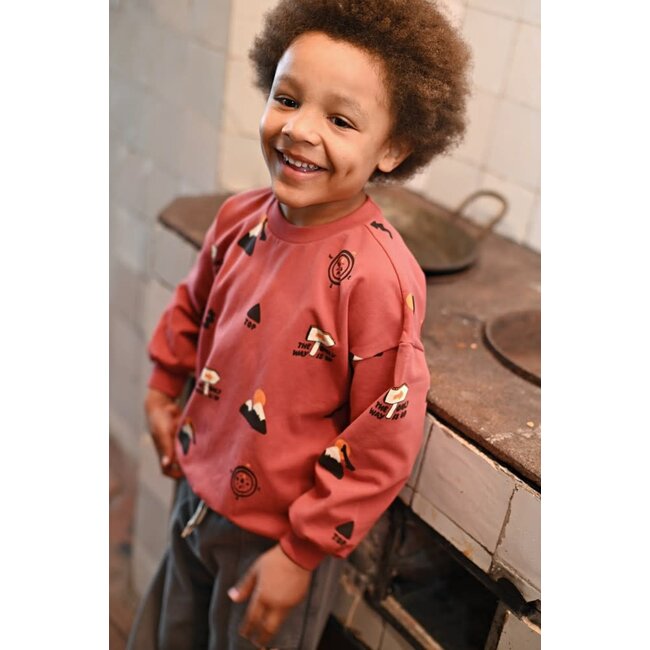 Sturdy - Sweater AOP Oversized Rood - Mountain Top