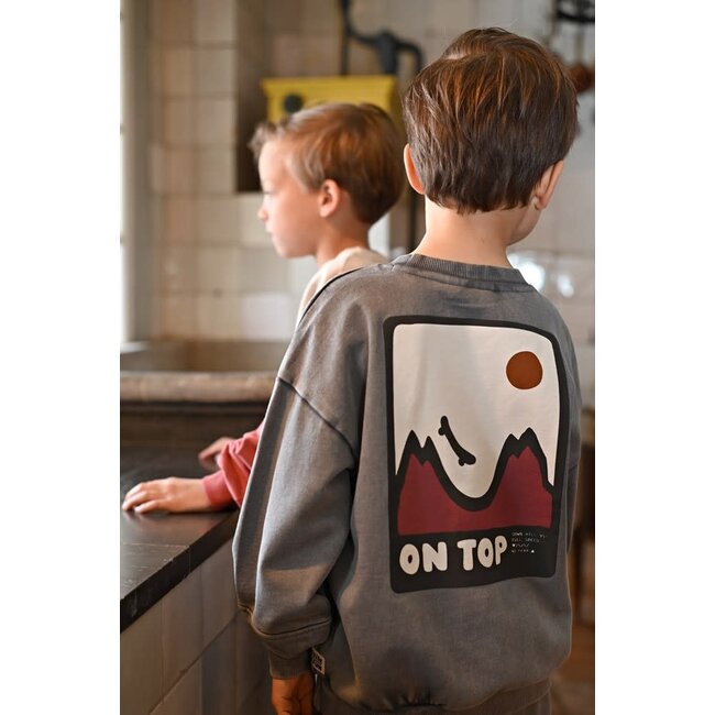 Sturdy - Sweater met Backprint Oversized Grijs - Mountain Top
