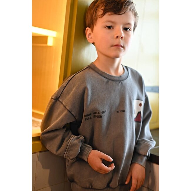 Sturdy - Sweater met Backprint Oversized Grijs - Mountain Top