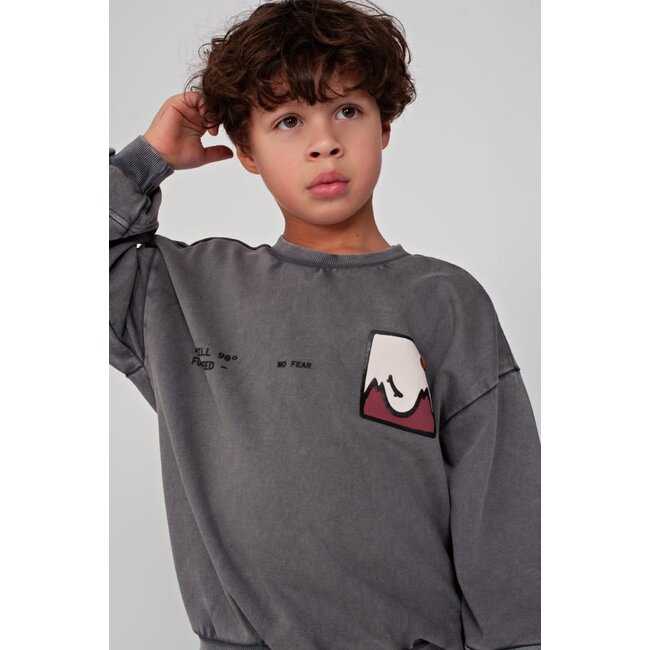 Sturdy - Sweater met Backprint Oversized Grijs - Mountain Top