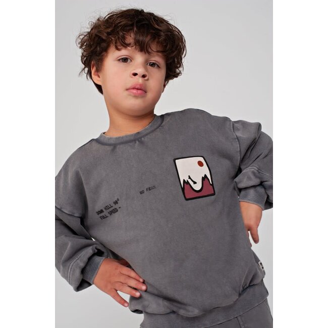 Sturdy - Sweater met Backprint Oversized Grijs - Mountain Top