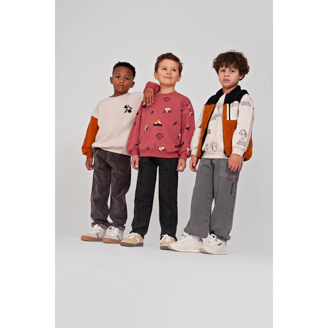 Sturdy - Broek Antraciet - Mountain Top