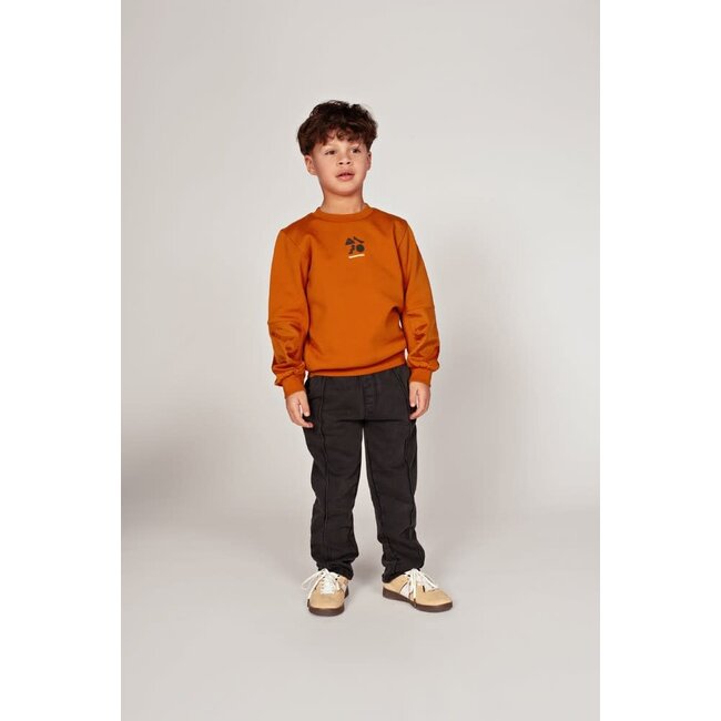 Sturdy - Broek Antraciet - Mountain Top
