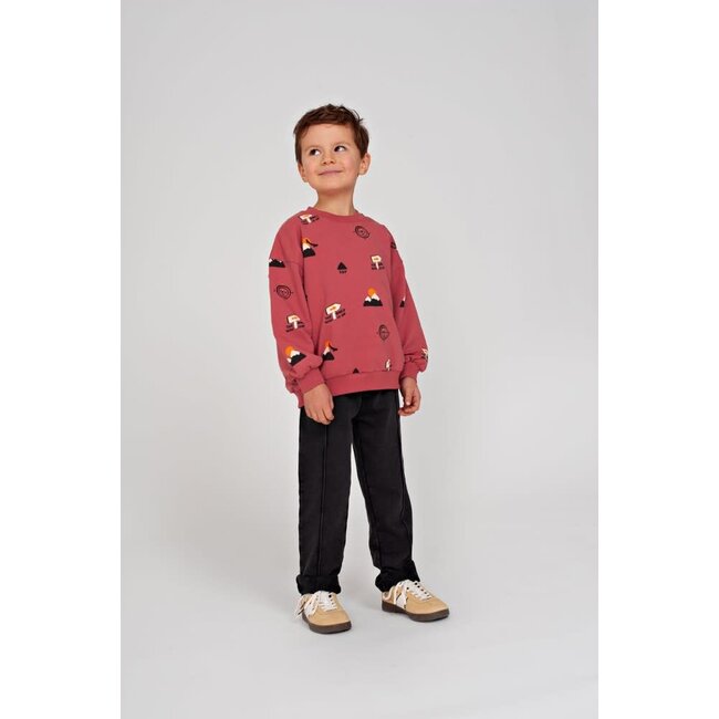 Sturdy - Broek Antraciet - Mountain Top