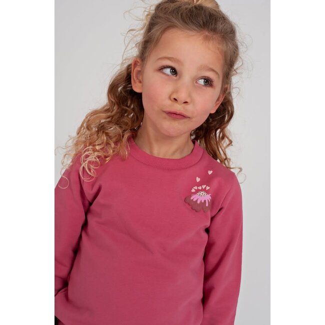 Jubel - Sweater Roze - Moon Flowers