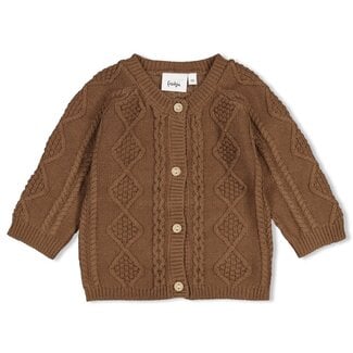 Feetje Feetje - Vestje Gebreid Cable-Knit Bruin - The Knits