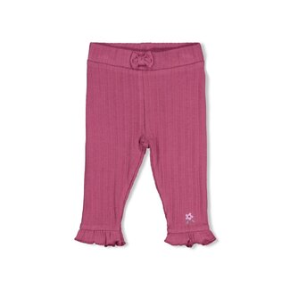 Feetje Feetje - Legging / Broek Rib Berry - Afternoon Tea