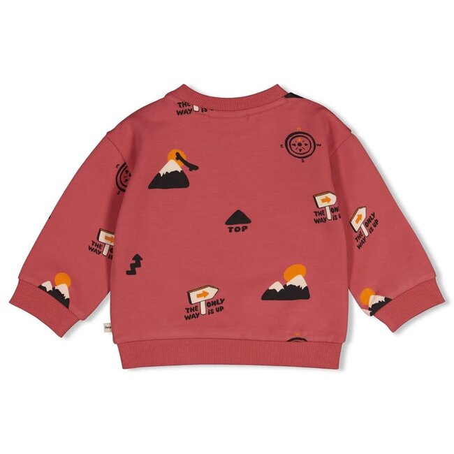 Feetje - Sweater AOP Oversized Rood - Mountain Top