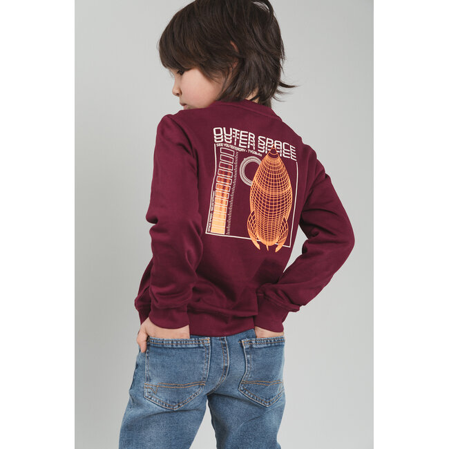 Tygo & Vito - Sweater Silver - Merlot