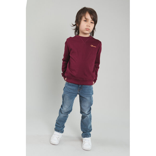 Tygo & Vito - Sweater Silver - Merlot
