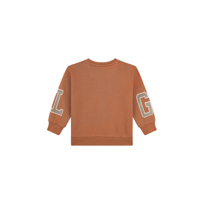 Someone - Sweater Bram - Cognac