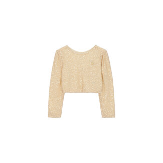 Le Chic Le Chic - Fluffy Sequins Top Elsa - Hearts of Gold