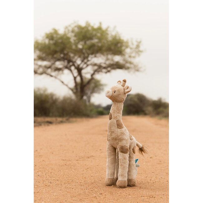 Little Dutch - Knuffel Giraf ­- Safari Friends