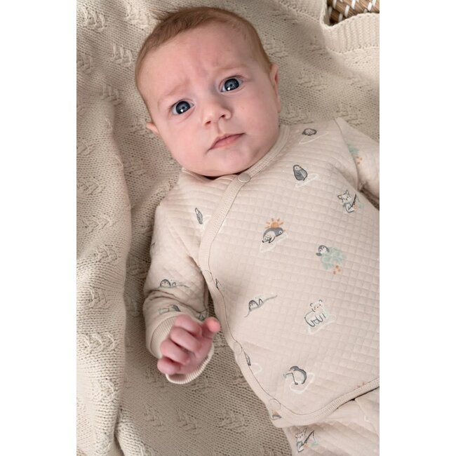 Feetje - Overslagshirt AOP Zand - Penguin Cuddles